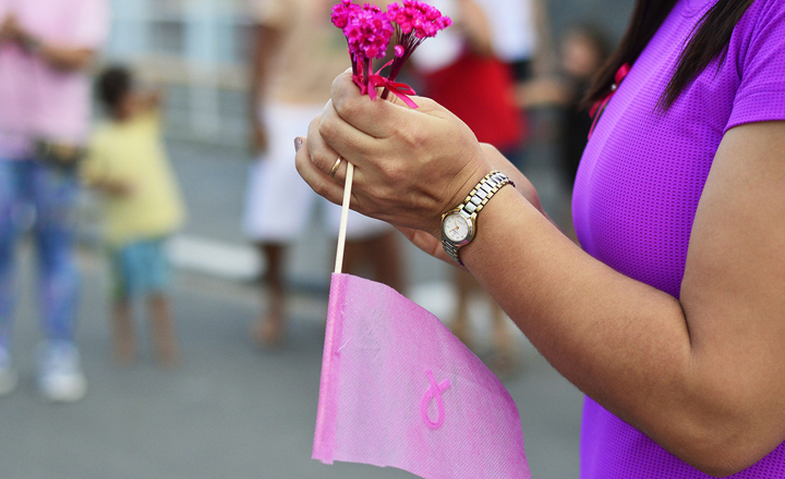 Solenidade de posse de Câmara de Enfrentamento à Violência de Gênero é realizada em Caruaru