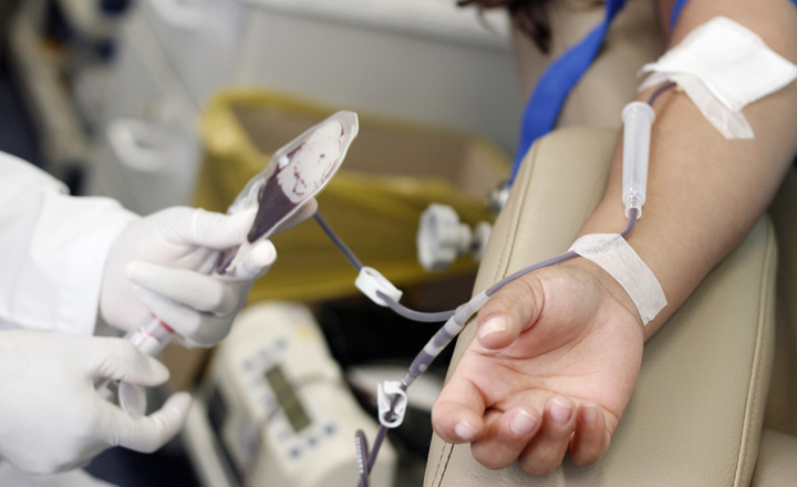 Projeto Dando Sangue Pela Educação é realizado em Caruaru