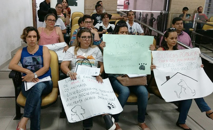 Câmara de Caruaru aprova Código Municipal de Proteção Animal