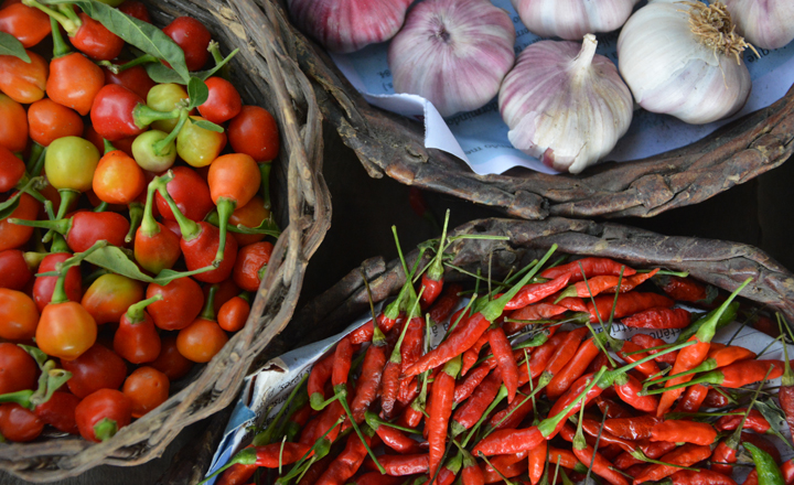 Exposição fotográfica homenageia Feira de Caruaru