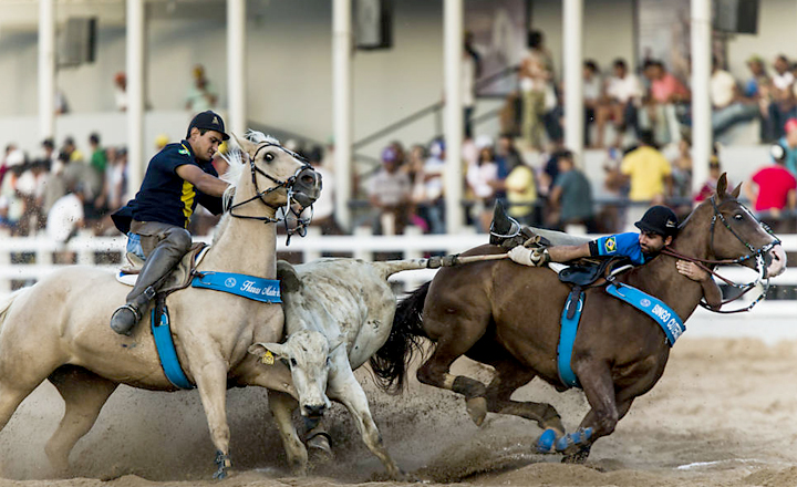 Projeto de Lei que regulamenta vaquejada em Pernambuco é encaminhado para sanção