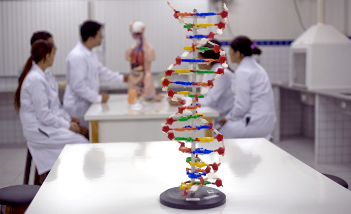 Programa oferece bolsas integrais para cursos técnicos em Pernambuco