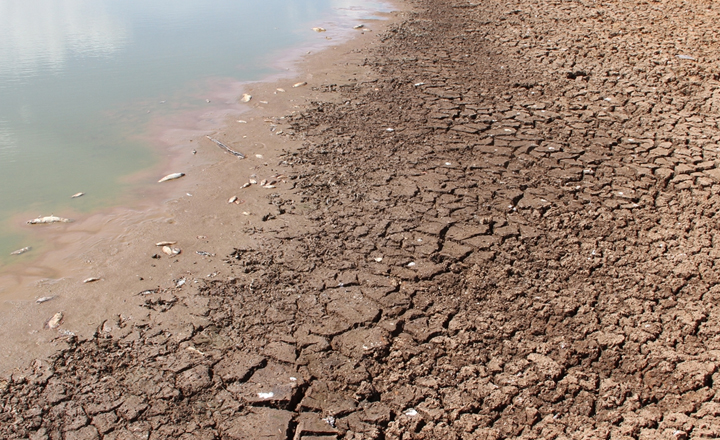 Governo decreta estado de emergência em 62 cidades de Pernambuco