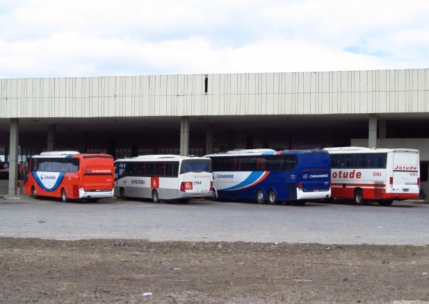 Pernambuco sanciona lei sobre assentos preferenciais em ônibus intermunicipais