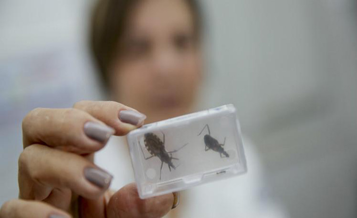 Sobe para 33 o número de pacientes em tratamento devido ao surto de Doença de Chagas no estado