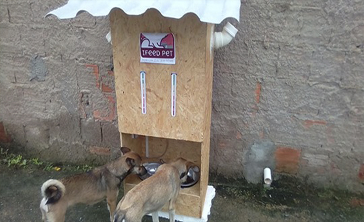 Estudante de Caruaru desenvolve sistema automatizado para alimentação de animais de rua