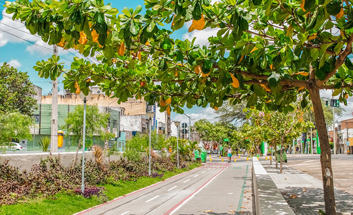 Egressos do sistema prisional receberão treinamento para atuarem como jardineiros em Caruaru