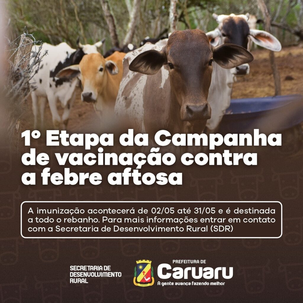 Imunização é destinada a animais de todas as idades. (Imagem: Divulgação)