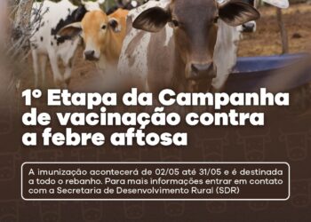 Imunização é destinada a animais de todas as idades. (Imagem: Divulgação)
