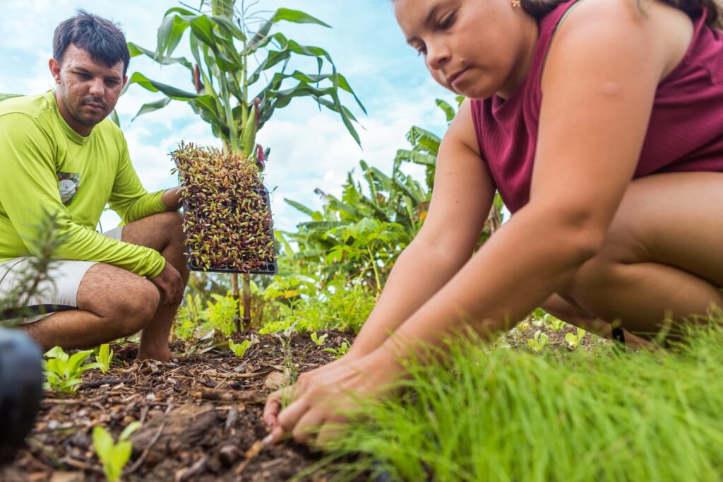 O plano pretende promover o diálogo do espaço rural com a indústria, comércio, turismo e economia criativa (Imagem: Secom Divulgação)
