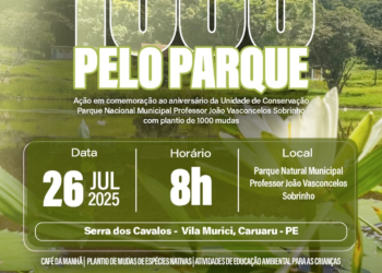 Serra dos Cavalos receberá 1.000 mudas nativas em comemoração a aniversário