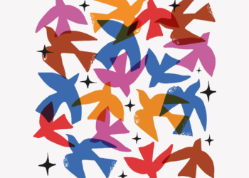 Caruaru recebe evento de cinema universitário