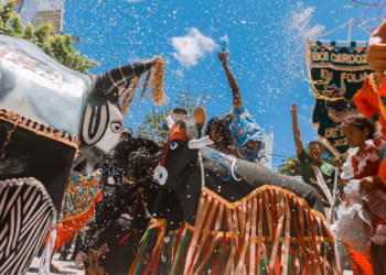 Procon Caruaru realiza fiscalização durante o Pré-Carnaval Multicultural