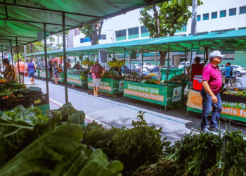 Bairro Universitário recebe nova Feira da Agricultura Familiar