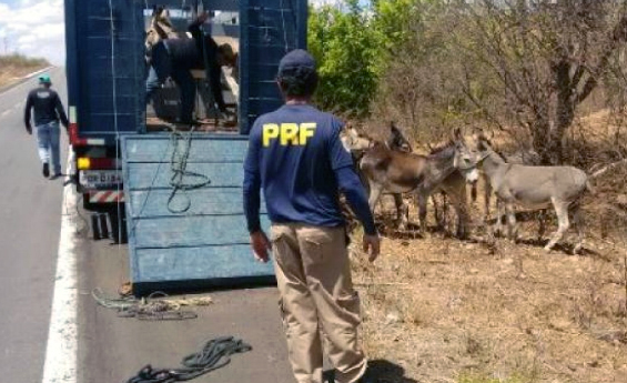 Hospital Mestre Vitalino realiza cirurgias cardiológicas em Caruaru