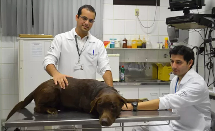 Audiência sobre papel do médico veterinário é realizada em Caruaru