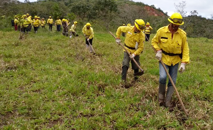 Parque de Serra dos Cavalos passa a contar com brigada de incêndio formal