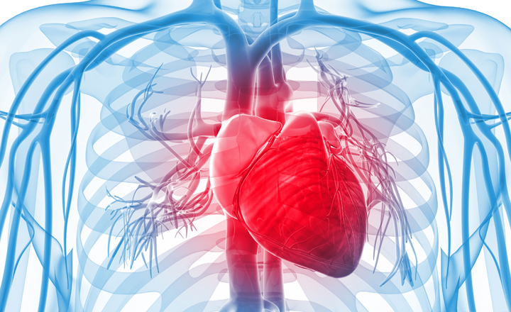 Problemas cardiovasculares causam 29% das mortes em Pernambuco