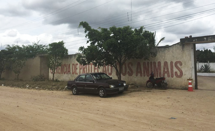 Conselho descreve recomendações feitas à Gerência de Proteção Animal de Caruaru