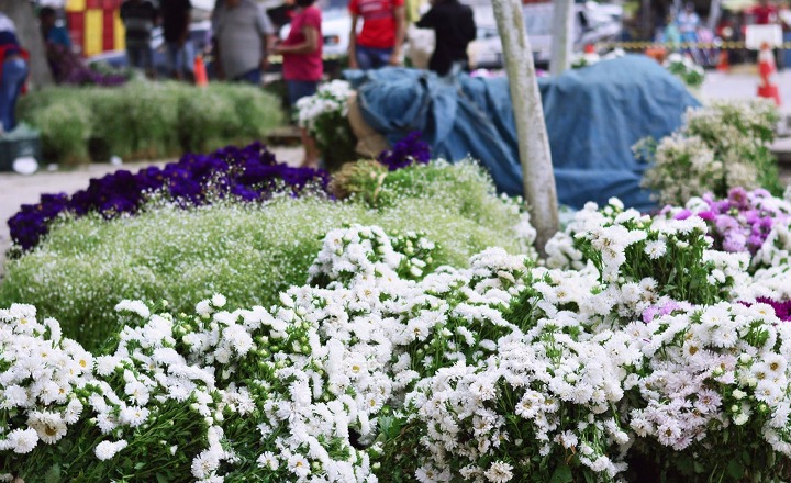 Feira de Flores para Dia de Finados é realizada em Caruaru
