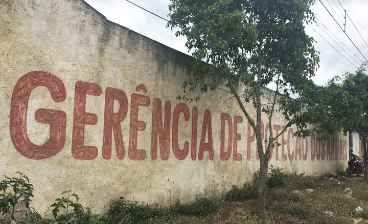 Gerência de Proteção Animal responde reclamações de ouvintes da Rádio Cultura