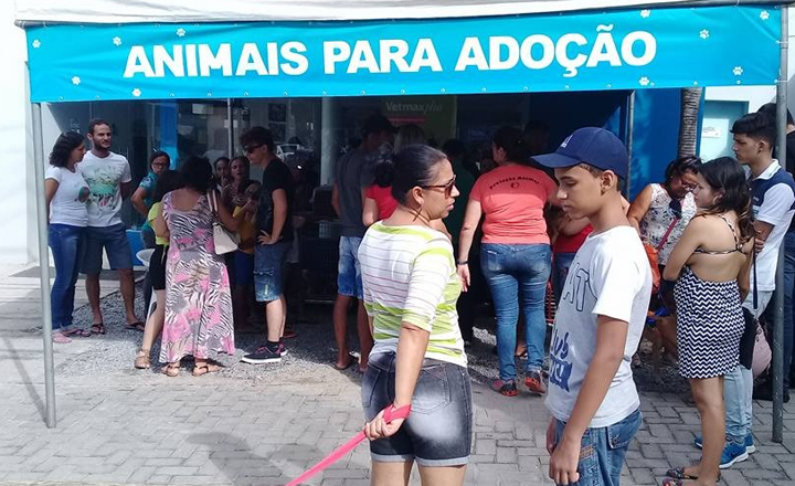 Evento de adoção de animais é realizado em Caruaru
