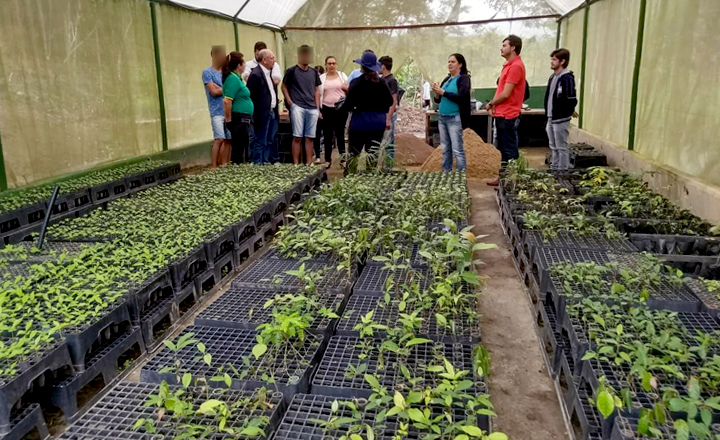 Casa de Semiliberdade de Caruaru insere adolescentes em projeto de reflorestamento ambiental