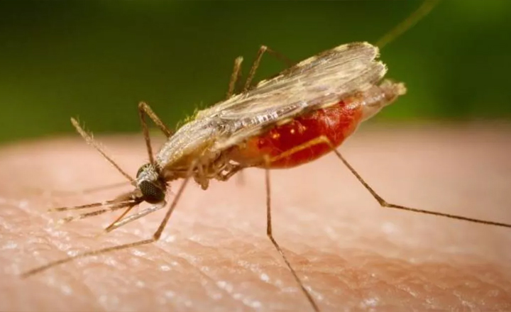 O paciente é um homem de 49 anos (Imagem: Divulgação)