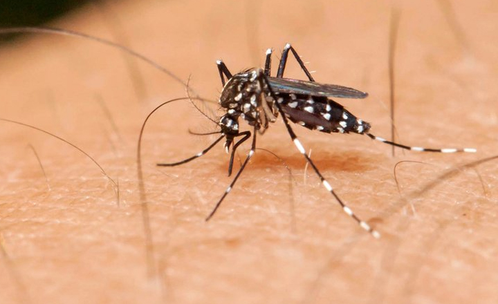 Pernambuco tem aumento em número de notificações de Zika