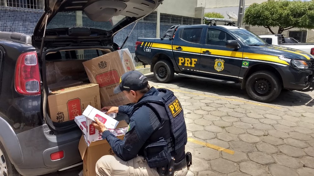 Mais de nove toneladas de drogas foram apreendidas em Pernambuco no ano de 2019