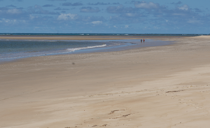 Praias de Tamandaré são reabertas