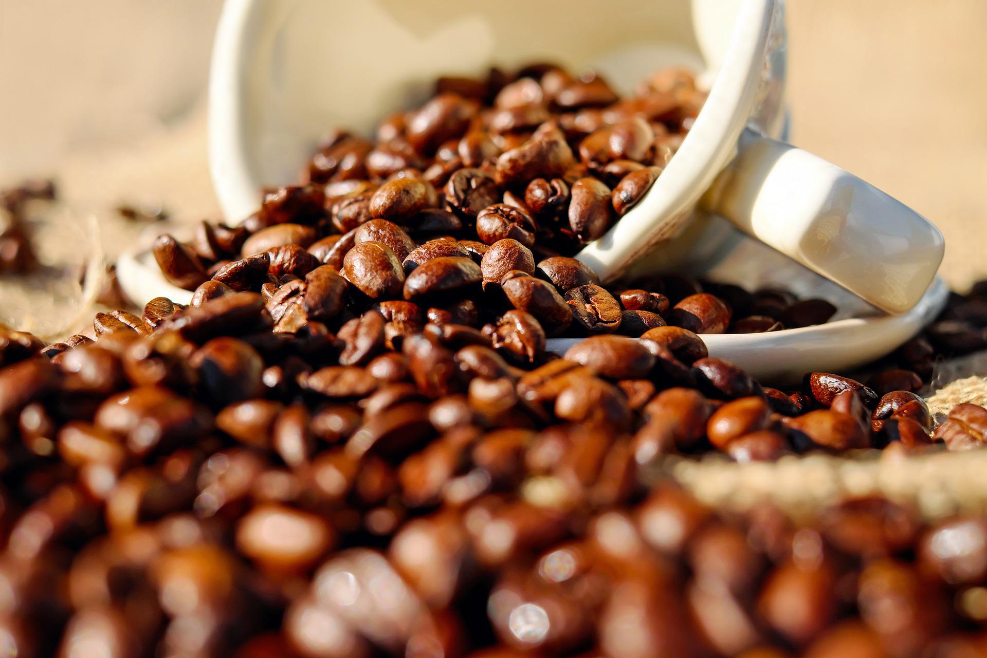 Gravatá realiza primeiro Festival de Café