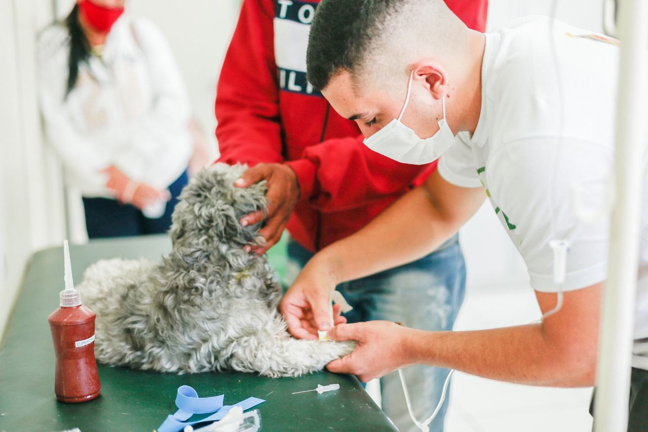 Caruaru realiza 5ª Semana de Prevenção e Controle da Leishmaniose