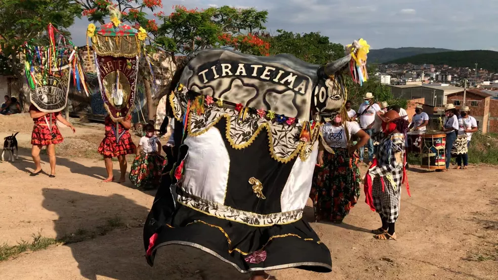 Boi Tira-Teima de Caruaru celebra 100 anos