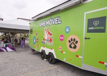 Os atendimentos seguem até amanhã (1º), das 8h às 12h (Imagem: Divulgação)