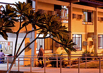 Ao total, são 40 vagas ofertadas no Centro Acadêmico do Agreste (CAA). (Imagem: UFPE)