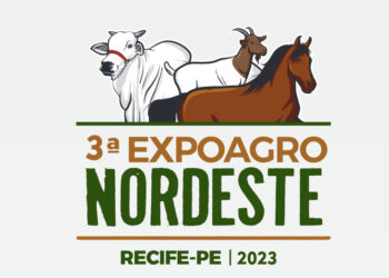 A exposição segue até o próximo domingo, dia 1º de outubro (Imagem: Divulgação)