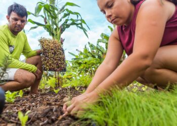 O plano pretende promover o diálogo do espaço rural com a indústria, comércio, turismo e economia criativa (Imagem: Secom Divulgação)