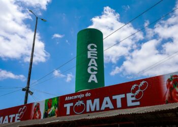 Feijão verde, a melancia e a batata doce roxa estão entre os produtos que tiveram queda no valor (Imagem: Divulgação)