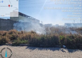 Denúncias podem ser feitas à URB presencialmente, por telefone ou pela internet (Imagem: Divulgação)