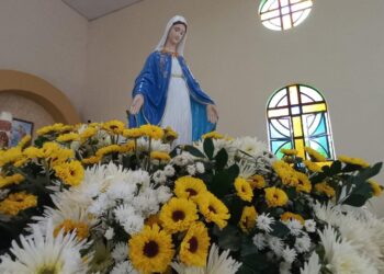 A programação segue até o dia 26 de novembro (Imagem: Divulgação)