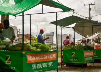 Essa determinação foi acordada entre a Prefeitura e os agricultores (Imagem: Divulgação)