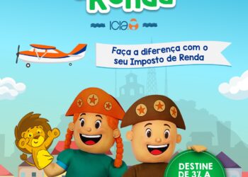 O declarante pode destinar 3% e 6% ao instituto (Imagem: Divulgação)