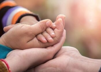 O evento acontecerá amanhã (5), das 09h às 12h (Imagem: Divulgação)