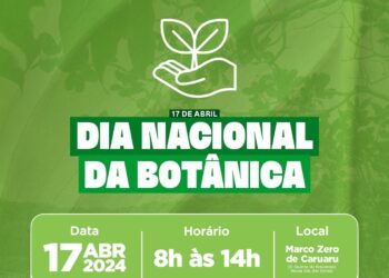 Ação acontecerá no Marco Zero, das 8h às 14h (Imagem: Divulgação)