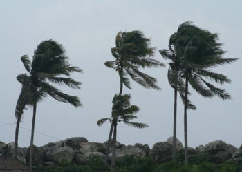 Cidades do Agreste têm novo aviso de vendaval