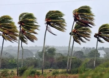 18 cidades do Agreste estão sob alerta de vendaval