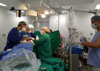 Pernambuco registrou um aumento de 6,8% no número de transplantes em 2024