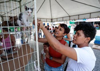 Feira de adoção de animais acontece hoje (23) e amanhã (24) em Caruaru