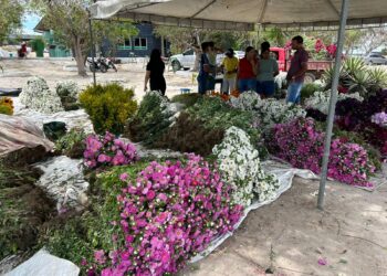 Feira de flores para o Dia de Finados na Ceaca é até hoje (1º)